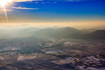 Vue aérienne de Palatinat du Sud en hiver avec de la neige à Göcklingen dans le département Rhénanie-Palatinat, Allemagne