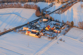 Vue aérienne de Quartier de Welchhof en hiver avec de la neige à Freckenfeld dans le département Rhénanie-Palatinat, Allemagne