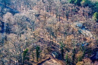 Vue aérienne de Fun Forest : Parc d'aventure Kandel à Kandel dans le département Rhénanie-Palatinat, Allemagne
