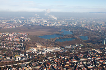 Quartier Oppau in Ludwigshafen am Rhein dans le département Rhénanie-Palatinat, Allemagne vue d'en haut