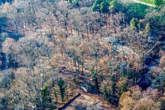 Photographie aérienne de Fun Forest : Parc d'aventure Kandel à Kandel dans le département Rhénanie-Palatinat, Allemagne