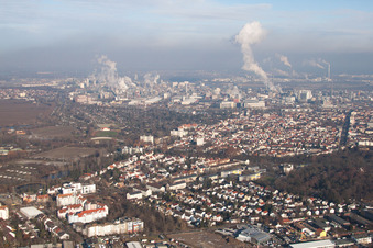 Vue aérienne de Quartier Friesenheim in Ludwigshafen am Rhein dans le département Rhénanie-Palatinat, Allemagne