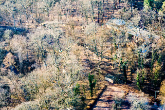 Vue aérienne de Parc d'aventure Fun Forest GmbH Kandel à Kandel dans le département Rhénanie-Palatinat, Allemagne