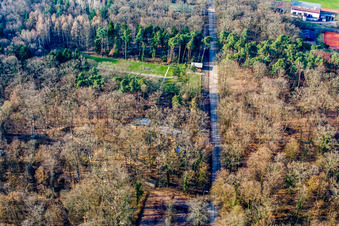 Vue oblique de Fun Forest : Parc d'aventure Kandel à Kandel dans le département Rhénanie-Palatinat, Allemagne