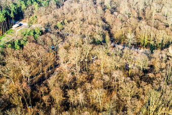 Fun Forest : Parc d'aventure Kandel à Kandel dans le département Rhénanie-Palatinat, Allemagne vue d'en haut