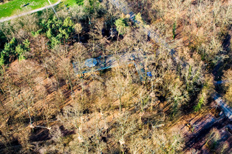 Vue aérienne de Parc d'aventure Fun Forest à Kandel dans le département Rhénanie-Palatinat, Allemagne