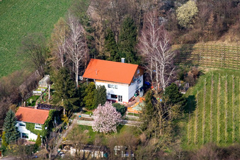 Vue aérienne de Haingasse à Dierbach dans le département Rhénanie-Palatinat, Allemagne