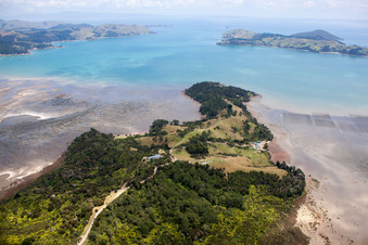 Vue oblique de Quartier Preece Point in Coromandel dans le département Waïkato, Nouvelle-Zélande