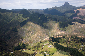Image drone de Quartier Preece Point in Coromandel dans le département Waïkato, Nouvelle-Zélande