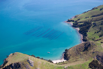 Whanganui Island dans le département Waïkato, Nouvelle-Zélande hors des airs