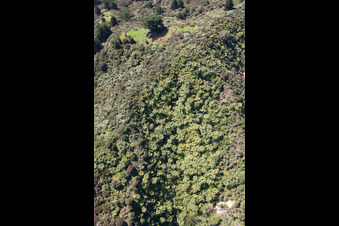 Coromandel dans le département Waïkato, Nouvelle-Zélande du point de vue du drone