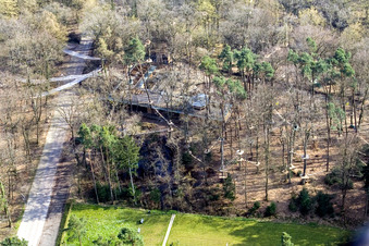 Vue aérienne de Funforest : Parc d'escalade Kandel sur Badalleé à Kandel dans le département Rhénanie-Palatinat, Allemagne