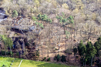 Vue aérienne de Funforest : Parc d'escalade Kandel sur Badalleé à Kandel dans le département Rhénanie-Palatinat, Allemagne