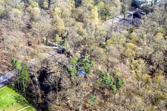 Photographie aérienne de Funforest : Parc d'escalade Kandel sur Badalleé à Kandel dans le département Rhénanie-Palatinat, Allemagne
