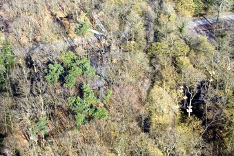 Vue oblique de Funforest : Parc d'escalade Kandel sur Badalleé à Kandel dans le département Rhénanie-Palatinat, Allemagne