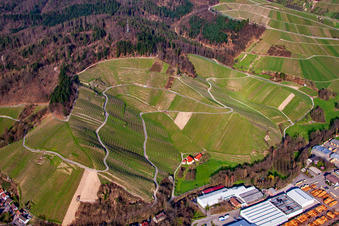 Vue aérienne de Achertalblick et Bienenbuckel à Achern dans le département Bade-Wurtemberg, Allemagne