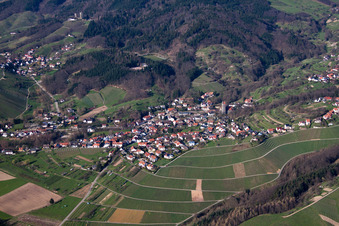 Vue aérienne de Vignobles à le quartier Neusatz in Bühl dans le département Bade-Wurtemberg, Allemagne