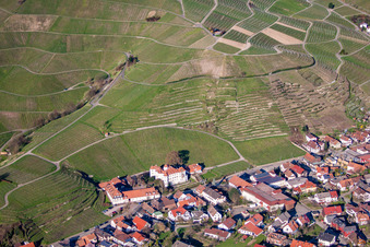 Vue aérienne de Vignoble, au dessus du château à le quartier Neuweier in Baden-Baden dans le département Bade-Wurtemberg, Allemagne