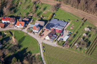 Vue aérienne de Domaine viticole Kopp à le quartier Ebenung in Sinzheim dans le département Bade-Wurtemberg, Allemagne