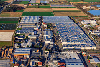 Vue aérienne de Zone industrielle de Heinkelstraße avec IHLE Tires GmbH - grossiste en pneus à Muggensturm dans le département Bade-Wurtemberg, Allemagne