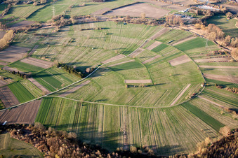 Vue aérienne de Structures sur les champs agricoles de la plaine du Rhin à Au am Rhein à Au am Rhein dans le département Bade-Wurtemberg, Allemagne