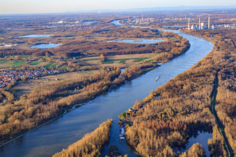 Vue aérienne de Embouchure de l'Auer Altrhein dans le Rhin à Au am Rhein dans le département Bade-Wurtemberg, Allemagne