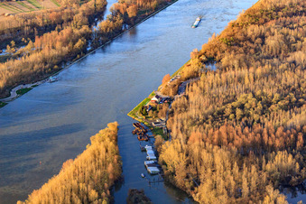 Photographie aérienne de Embouchure de l'Auer Altrhein dans le Rhin à Au am Rhein dans le département Bade-Wurtemberg, Allemagne
