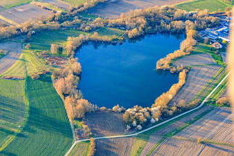 Vue aérienne de Lac de carrière à Neuburg am Rhein dans le département Rhénanie-Palatinat, Allemagne