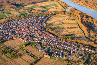 Vue aérienne de Plaines inondables entourées par le Vieux Rhin de Neubourg à Neuburg am Rhein dans le département Rhénanie-Palatinat, Allemagne