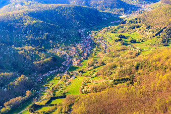 Vue aérienne de Village de la forêt du Palatinat vu du sud à Dernbach dans le département Rhénanie-Palatinat, Allemagne