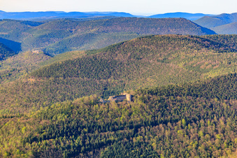 Vue aérienne de Château de Neuscharfeneck à Flemlingen dans le département Rhénanie-Palatinat, Allemagne