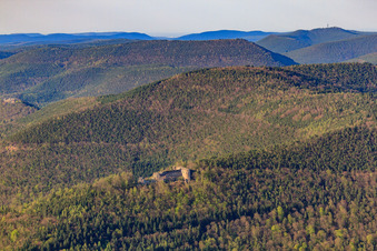 Vue aérienne de Château de Neuscharfeneck à Flemlingen dans le département Rhénanie-Palatinat, Allemagne