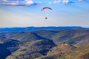 Vue aérienne de À propos du château de Neuscharfeneck à Flemlingen dans le département Rhénanie-Palatinat, Allemagne