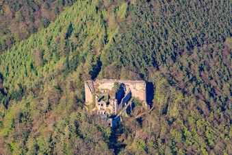 Vue aérienne de Ruines du château de Neuscharfeneck à Flemlingen dans le département Rhénanie-Palatinat, Allemagne