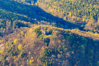 Vue aérienne de Ruines du château de Ramburg à Ramberg dans le département Rhénanie-Palatinat, Allemagne