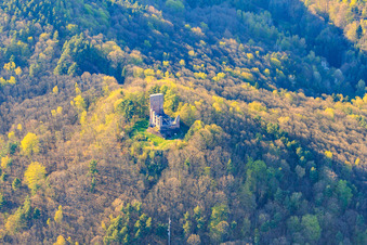 Photographie aérienne de Ruines du château de Ramburg à Ramberg dans le département Rhénanie-Palatinat, Allemagne
