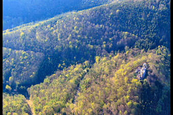 Vue aérienne de Ruines du château de Meisteresel à Ramberg dans le département Rhénanie-Palatinat, Allemagne