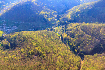 Vue aérienne de Walthartstr à Ramberg dans le département Rhénanie-Palatinat, Allemagne