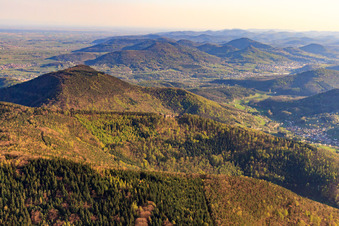 Vue aérienne de Ruines du château de Neuscharfeneck vues du nord à Flemlingen dans le département Rhénanie-Palatinat, Allemagne