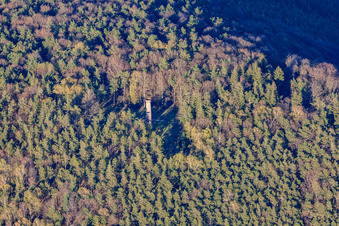 Vue aérienne de Tour Ludwig à Rhodt unter Rietburg dans le département Rhénanie-Palatinat, Allemagne