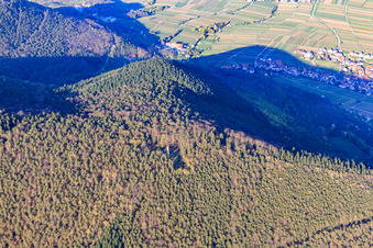 Photographie aérienne de Tour Ludwig à Rhodt unter Rietburg dans le département Rhénanie-Palatinat, Allemagne