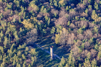Vue oblique de Tour Ludwig à Rhodt unter Rietburg dans le département Rhénanie-Palatinat, Allemagne