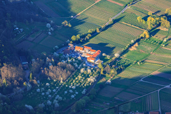 Vue aérienne de Hôtel bien-être Alte Rebschule au printemps à Rhodt unter Rietburg dans le département Rhénanie-Palatinat, Allemagne