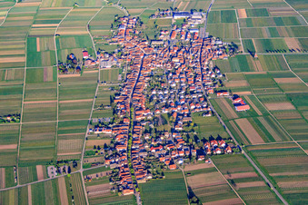 Vue aérienne de Village viticole entre les vignes de l'ouest à Rhodt unter Rietburg dans le département Rhénanie-Palatinat, Allemagne