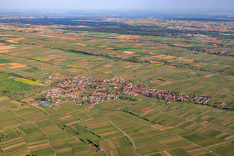 Vue aérienne de Village viticole entre les vignobles du nord-ouest à Edesheim dans le département Rhénanie-Palatinat, Allemagne