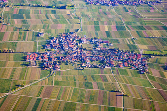 Vue aérienne de Village viticole entre les vignes du nord à Hainfeld dans le département Rhénanie-Palatinat, Allemagne