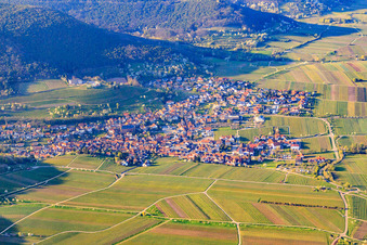 Vue aérienne de Village viticole en bordure du Haardt entre les vignobles du sud à le quartier SaintMartin in Sankt Martin dans le département Rhénanie-Palatinat, Allemagne