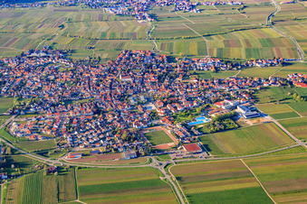 Vue aérienne de Vue de la ville entre les vignes depuis le sud à Maikammer dans le département Rhénanie-Palatinat, Allemagne