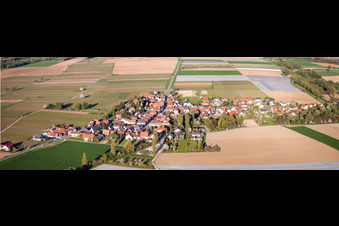 Vue aérienne de Perspective panoramique des champs et des terres agricoles à Kleinfischlingen dans le département Rhénanie-Palatinat, Allemagne