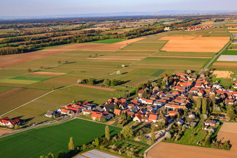 Vue aérienne de Village entre les champs vu de l'ouest à Kleinfischlingen dans le département Rhénanie-Palatinat, Allemagne
